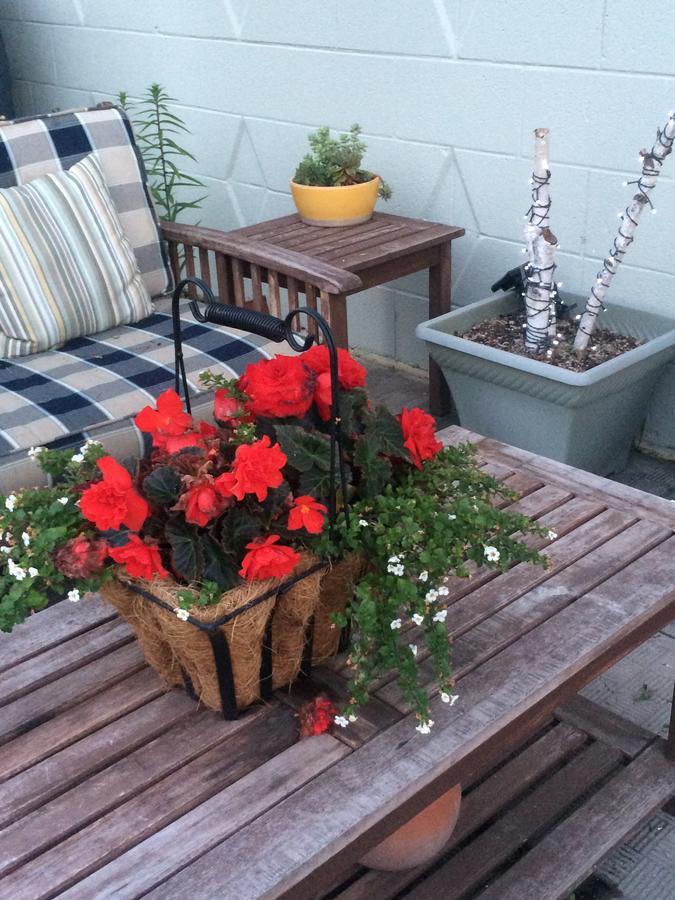 Moon Gate Guest House Whitemouth Extérieur photo